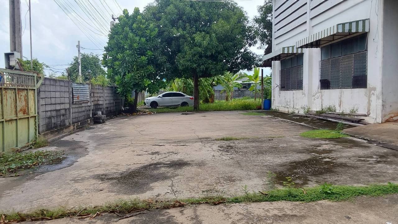 298162pic1