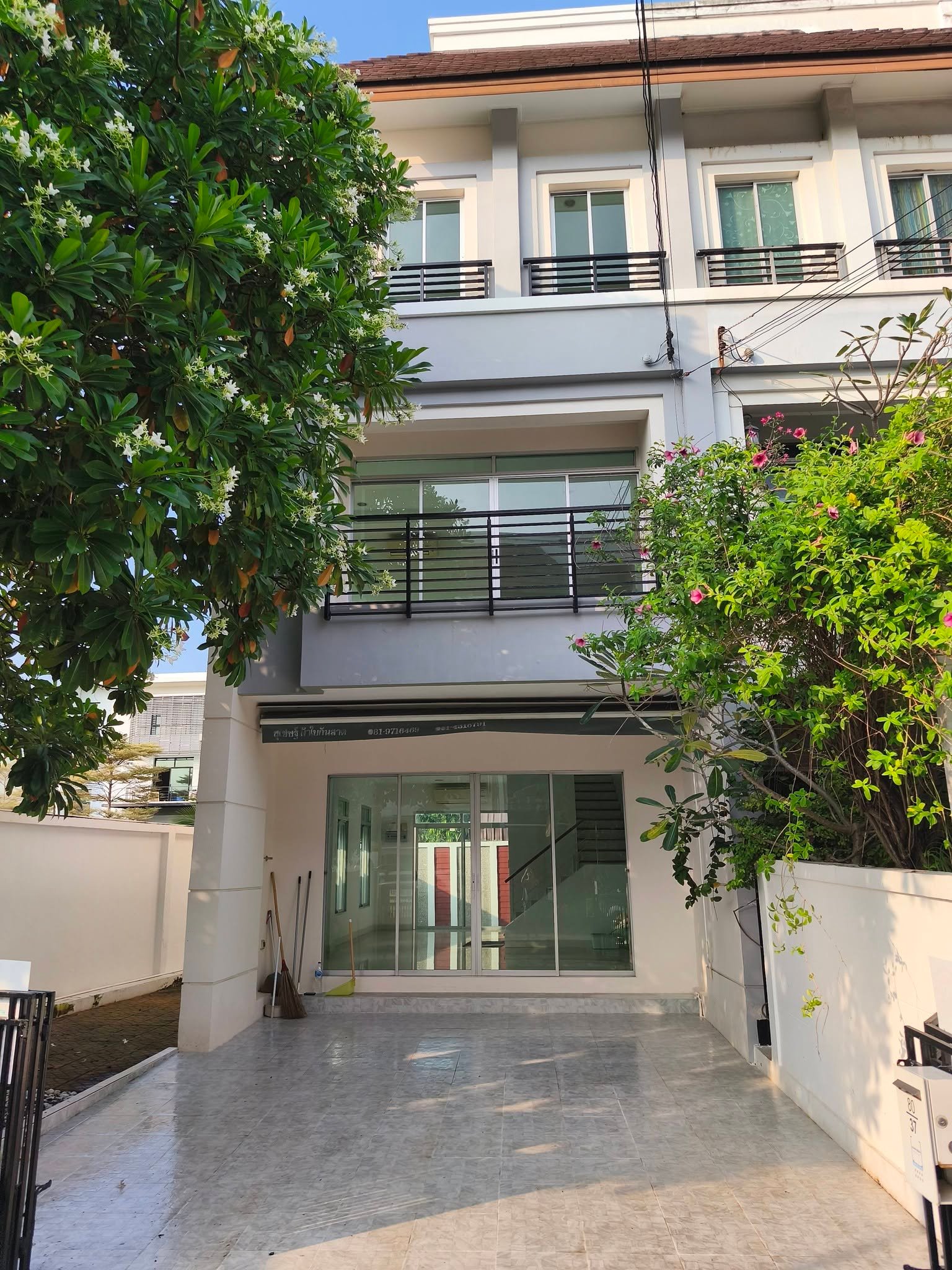 537803pic1